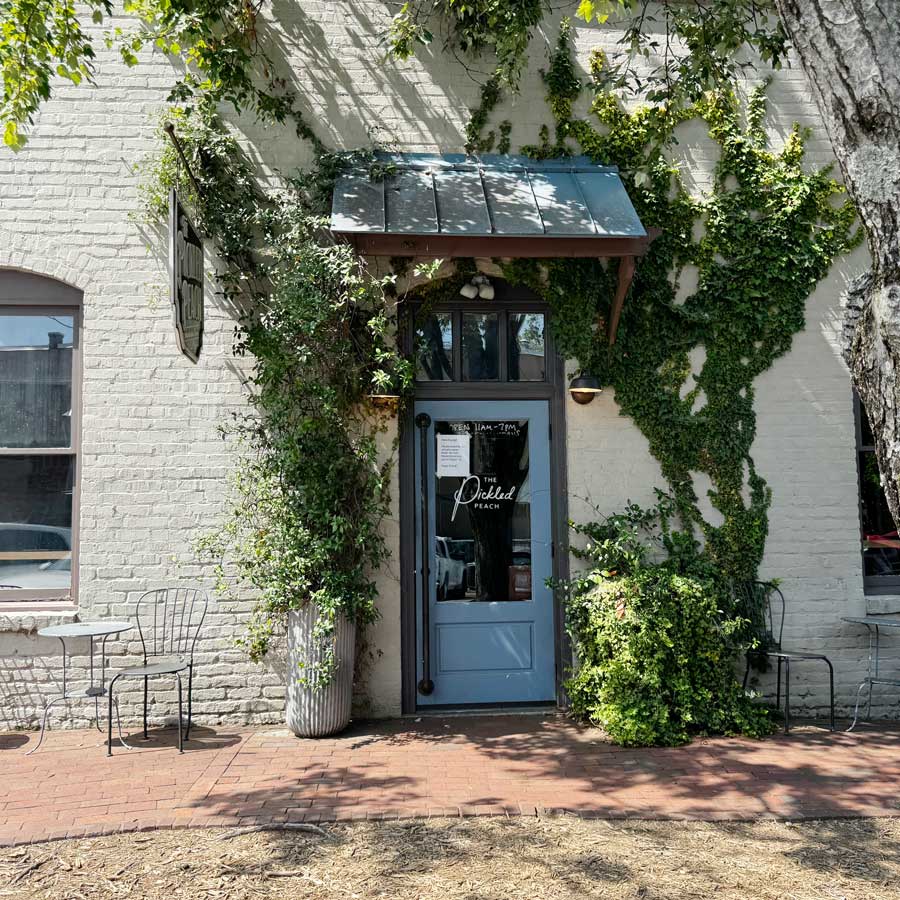 Davidson-Town-Profile-Alexa-Jordan-Realtor-Lake-Norman-NC_0003